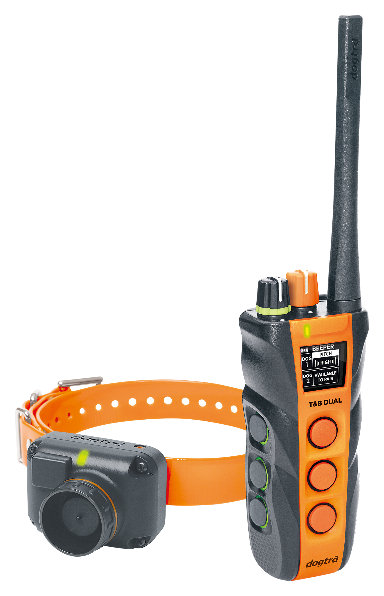 Dogtra T&B Dual Dog Training Collar System Cabela's